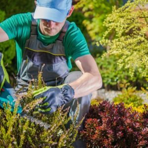 Cuidado de Césped y Jardín